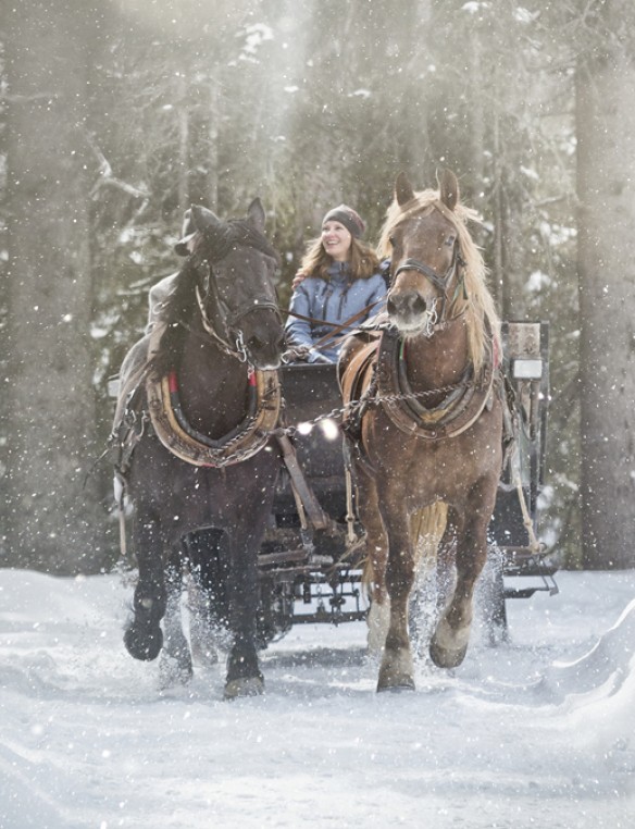 Pferdeschlitten © saalbach.com, Mirja Geh