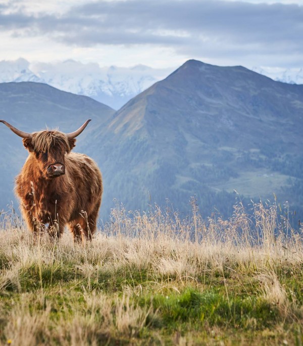 Herbst © saalbach.com, Daniel Roos