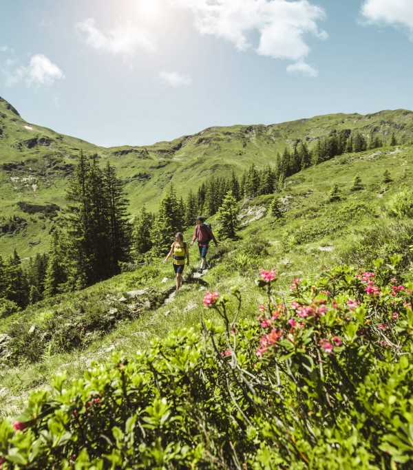 Atemberaubende Natur in Saalbach Hinterglemm, Österreich © saalbach.com, Mia Knoll