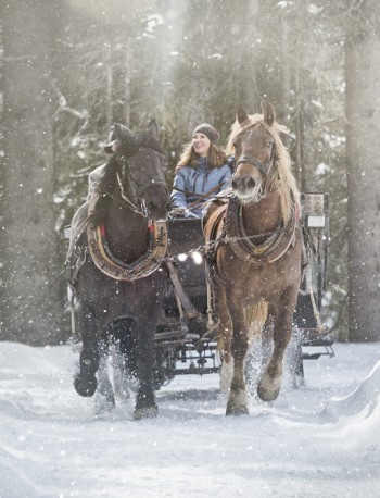 Pferdeschlitten © saalbach.com, Mirja Geh